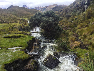 Naklejka na ściany i meble Ecuador, Nacional Park: Las Cajas 4000 masl