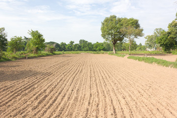 Fototapeta na wymiar The soil for planting