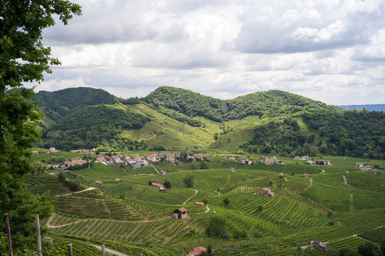 Panorama verso sud dalla collina di Cartizze