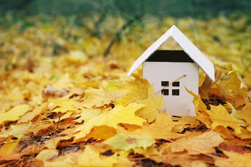 House from paper in bright yellow autumn leaves. Model of cardboard house. Concept image house....