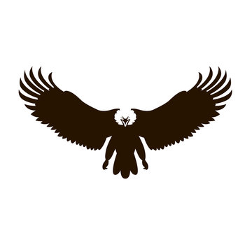 Bald eagle vector illustration  black silhouette