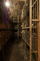 a lot of old wine bottles in the web in the wine cellar on the shelves