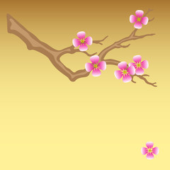 Japanese flowering blossom tree