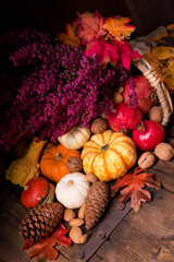 Cornucopia