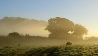 Mist in a morning on a farmland in Devon