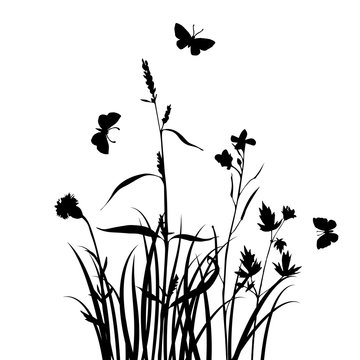 vector silhouettes of flowers and grass with butterflies