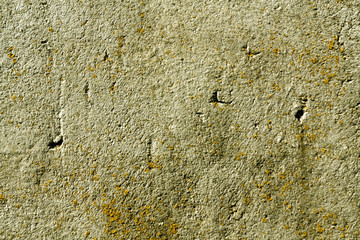 Old yellow cement wall with moss.