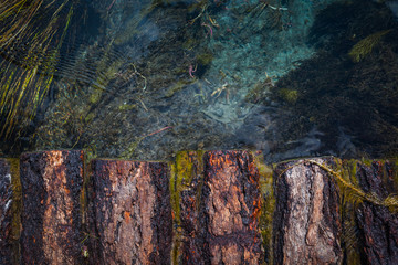 Narrow and ruined small wooden bridge at Black river gorge