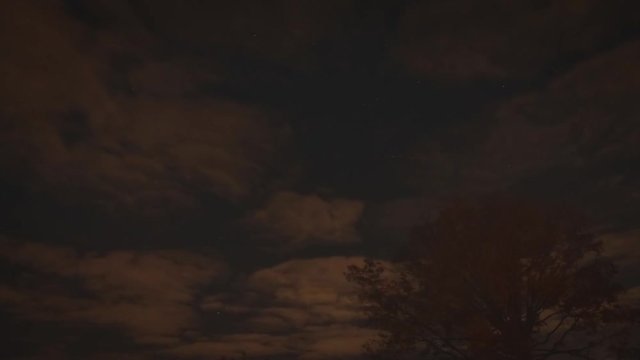 Time lapse clouds over a tree with shooting stars.