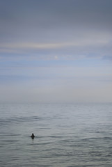 Girl taking an early morning swim in the sea