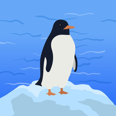 Funny Penguin Illustration