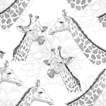 Vector hand draw seamless pattern with giraffe