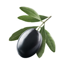 Black single olive 1 with leaves isolated on white background