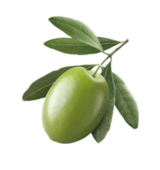 Fototapeten Green single olive 1 isolated on white background © kovaleva_ka