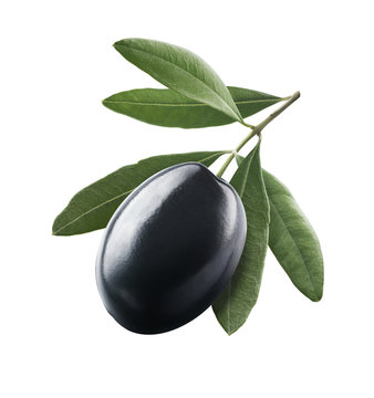 Black Single Olive 1 With Leaves Isolated On White Background