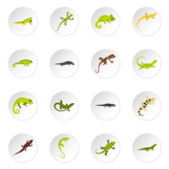 Amphibian icons set. Flat illustration of 16 amphibian vector icons for web
