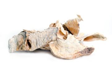 Butea superba Roxb or red Kwao Krua tuber root isolated on white