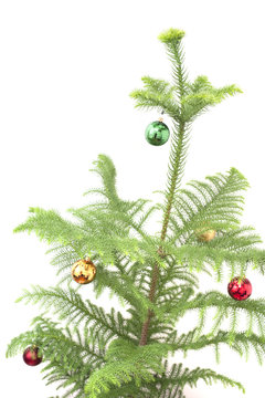 simple decorated tree