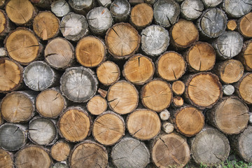 Big Round Mountain Firewood