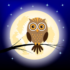 Obraz premium owl at night
