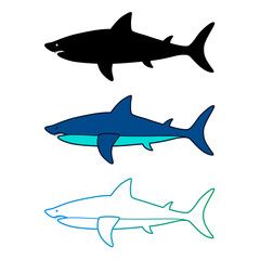 Shark