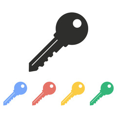 Key - vector icon.
