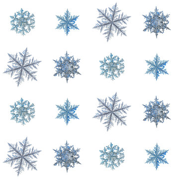 Set with snowflakes isolated on white background, arranged in square grid. This is macro photos of real snow crystals: large stellar dendrites with long, ornate arms and fine symmetry.