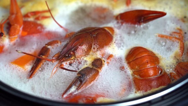 Boiling crayfish at saucepan, closeup
