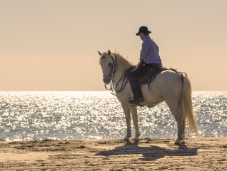 horse rider on the beach