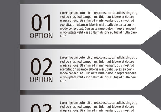 Gray White Business Infographic Modern Design. Corporate Data Template