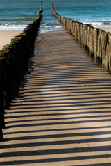 Fototapeta premium Strand in Holland