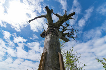 tree as summit cross in germany