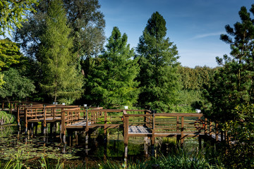Arboretum w Bolestraszycach