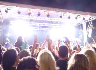 Fans at a live stage performance