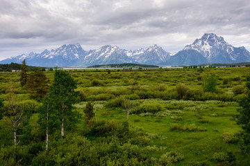 Grand Teton National Park