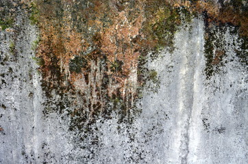 Alte vermooste Mauer