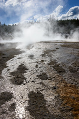 Yellowstone National Park