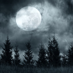 Fototapeta premium Magiczny krajobraz z lasem sosnowym pod dramatycznym zachmurzonym niebem w tajemniczą noc pełni księżyca