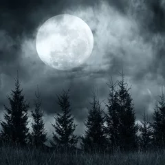 Fotobehang Magic landscape with pine tree forest under dramatic cloudy sky at full moon mysterious night © PerfectLazybones