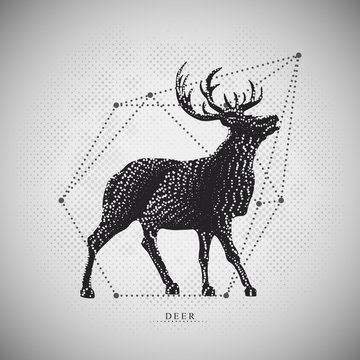 Modern vector of Deer on dotted mesh. Illustration with geometric abstract elements. Hipster Vector art.
