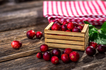 Fresh cranberry on wooden background
