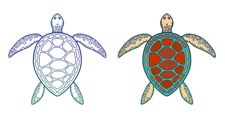 Sea turtle