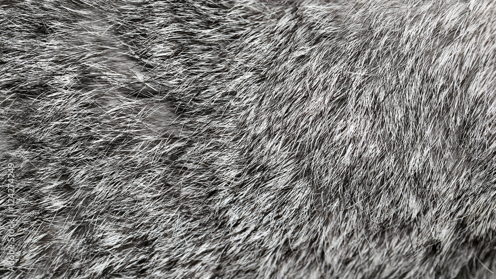 Sticker gray rabbit fur as background