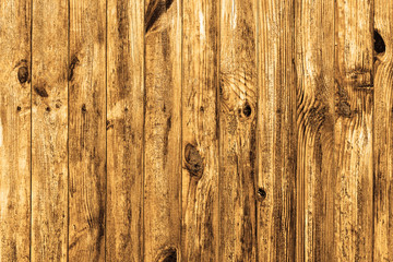 Wall of beech wood texture background macro