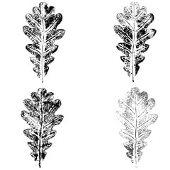  oak leaf imprint global color
