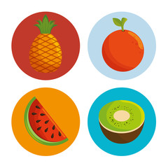 delicious fresh fruit healthy icon vector illustration design
