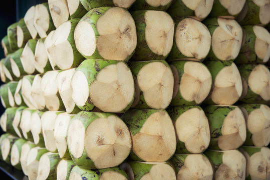 Coconuts for sale in boa viagem beach;Recife pernambuco brazil