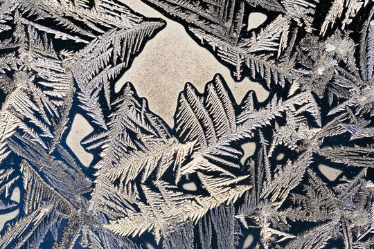 Extreme close up of frost patterns on a window;Calgary alberta canada