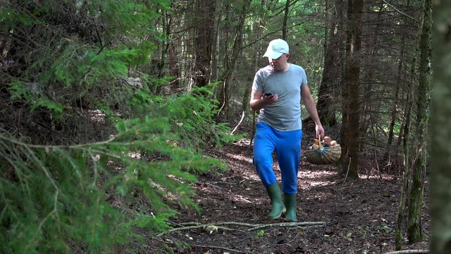 Lost mushroom picker using smart phone gps signal to get out from forest