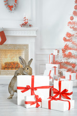 Ein  niedlicher Hase untersucht neugierig ein Geschenk in einem weihnachtlichen Wohnzimmer mit...